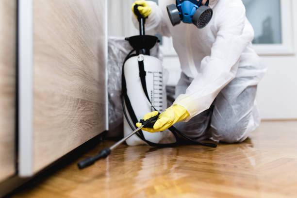 Best Wasp Removal Services  in Cape Charles, VA