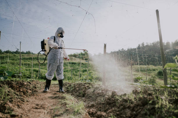 Best Commercial Pest Control Services  in Cape Charles, VA