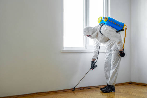 Best Best Pest Control Companies  in Cape Charles, VA